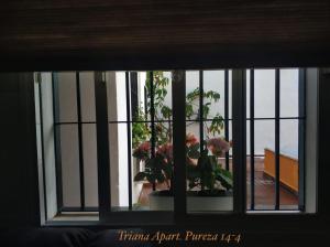 Fotografia z galérie ubytovania TRIANA PUREZA 12-14 v destinácii Seville