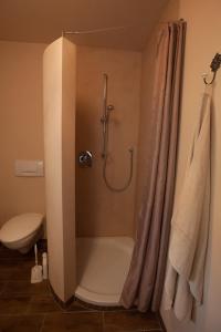 a bathroom with a shower with a shower curtain at Ferienwohnung Laurent in Pünderich