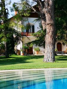 a tree in front of a house with a swimming pool at Villa delle Querce Resort in Palo del Colle