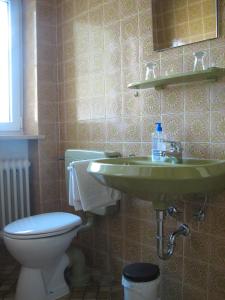a bathroom with a green sink and a toilet at Gästehaus Alpenland in Halblech +24 photos