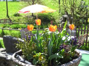 Giardino di Gasthof Hammerschmiede