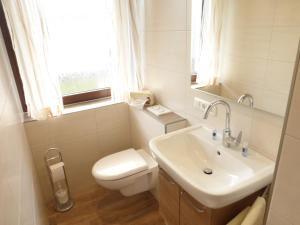 un bagno con lavandino, water e finestra di Gasthof Hammerschmiede a Bischofsgrün