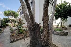 Ogród w obiekcie Apartamentos Villa Serali Parking Gratis