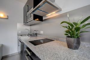 Kuchnia lub aneks kuchenny w obiekcie Apartamentos Villa Serali Parking Gratis