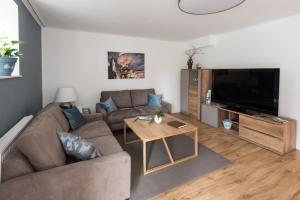 TV a/nebo společenská místnost v ubytování Apartment Villa Leopoldskron