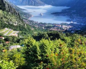 Foto de la galería de Big Hill Apartment en Kotor