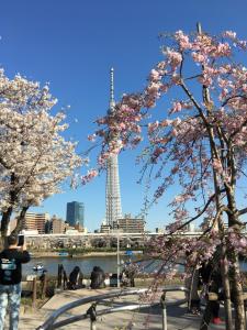 东京纳卡大雅旅馆的相册照片