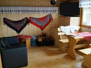 Pokoje Zamoyskiego - WATRA في زاكوباني: غرفة معيشة مع طاولة وتلفزيون
