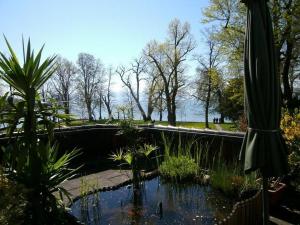 a pond in a garden with a view of the water at Gästehaus Fischerhäusle in Mitten