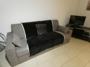 a grey couch in a living room with a tv at Le Vieux Port Apartments in Cannes