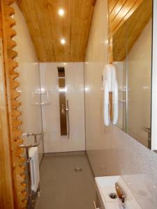 a bathroom with a shower and a sink at Balmoral Studio Lodge in Ellesmere