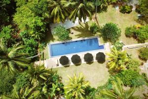 an overhead view of a swimming pool and palm trees at Abode Ahangama in Ahangama