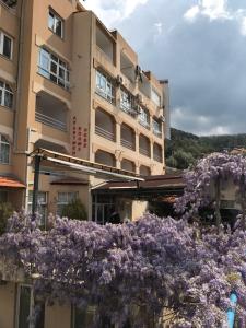 ein Gebäude mit lila Blumen davor in der Unterkunft Guesthouse Villa Gaga in Budva
