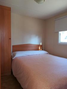 貝納哈拉菲的住宿－尼扎普拉亞野營山谷酒店，一间卧室配有一张带木制床头板的床和窗户。