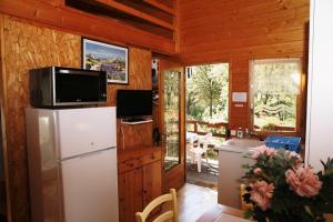 una cucina con frigorifero e TV in una cabina di GITES de Plos Appart CHALET PISCINE SPA ad Anduze