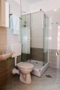 ein Bad mit einer Dusche, einem WC und einem Waschbecken in der Unterkunft Apartments Ljuba - in center & close to the beach in Duba