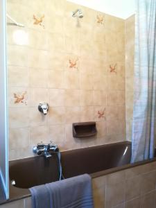 a bathroom with a bath tub and a shower at Bella Vita in Luino
