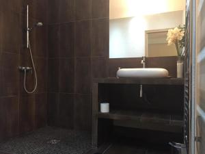 a bathroom with a sink and a shower at La Ferme des Moulineaux in Bailly