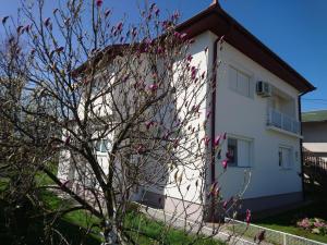 a white building with a tree in front of it at Center Una Apartment in Bihać