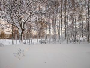 Zdjęcie z galerii obiektu Stajnia Lisewo w mieście Lisewo