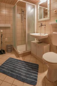 y baño con lavabo, ducha y aseo. en Apartmaji Alenka, en Bled