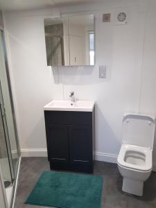 a bathroom with a sink and a toilet and a mirror at Skye Cabins in Skeabost