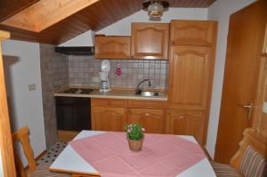 Kuchyň nebo kuchyňský kout v ubytování Ferienwohnung Steinhauser