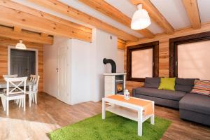 a living room with a couch and a fireplace at Przy Rozlewisku in Sarbinowo
