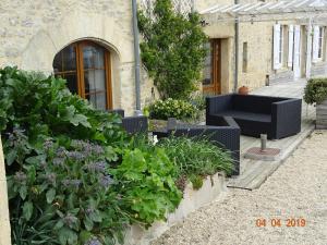 a garden with chairs and plants in front of a building at La ferme aux chats in Formigny