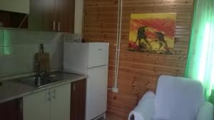 Kuchyň nebo kuchyňský kout v ubytování kolonia e artistave