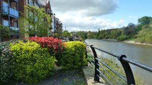 a row of bushes next to a river with buildings at Chester Serviced Apartments in Chester