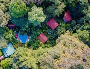 an overhead view of a forest with houses and trees at Cabinas Iguana Cahuita in Cahuita