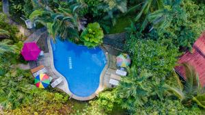 uma vista sobre uma piscina com guarda-sóis e cadeiras em Cabinas Iguana Cahuita em Cahuita