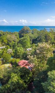 an aerial view of a forest with the ocean at Cabinas Iguana Cahuita in Cahuita