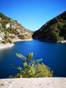 uma planta na frente de uma massa de água em La Dimora di d'Annunzio em Scanno