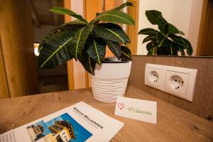 Fotografie z fotogalerie ubytování Appartemets Hauserbauer v Kaprunu