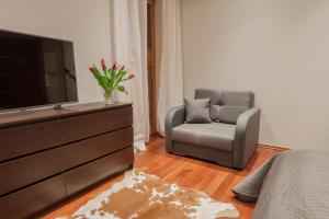 Televízia a/alebo spoločenská miestnosť v ubytovaní ApartSerwis - Apartament Zacisze