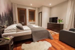 Televízia a/alebo spoločenská miestnosť v ubytovaní ApartSerwis - Apartament Zacisze