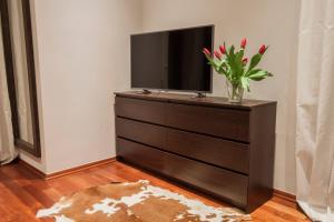 Televízia a/alebo spoločenská miestnosť v ubytovaní ApartSerwis - Apartament Zacisze