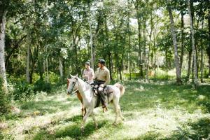 
Horseback riding at the resort or nearby
