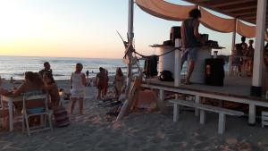 Táj Show holiday homes közelében