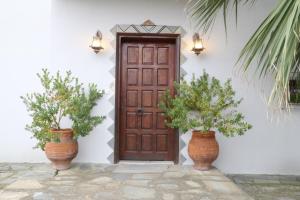 twee vazen met planten voor een houten deur bij Villa Christie in Keramotí