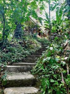 a set of stone stairs in a forest at Las Ranitas in Puerto Viejo