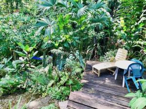 a wooden deck with a table and a chair on it at Las Ranitas in Puerto Viejo