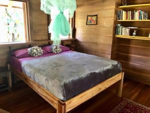 a bed in a room with wooden walls and a window at Las Ranitas in Puerto Viejo
