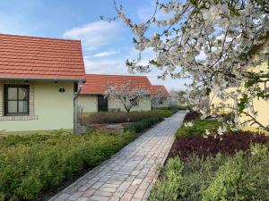 a brick path in front of a house with flowering trees at BÉNI family wine farm in Cegléd