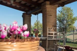 Zahrada ubytování B&B I Pini Di Storaco