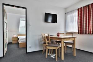 TV a/nebo společenská místnost v ubytování Pension Česká