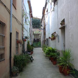 an alley with potted plants in an alley between buildings at CAL GENERAL in La Cellera de Ter