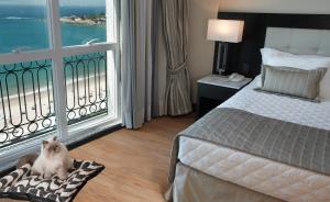 a hotel room with a cat sitting on a pillow in front of a window at Miramar By Windsor Copacabana in Rio de Janeiro